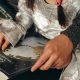 child focused pediatrician websites